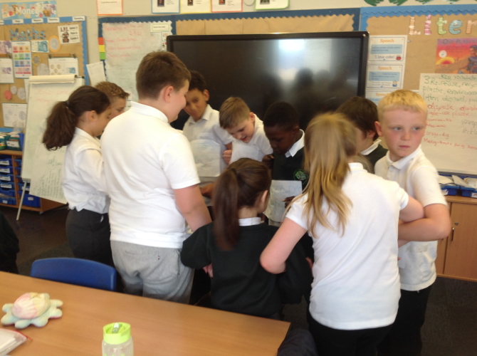 y4 battle hastings (4)